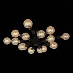 Потолочная люстра EVOLUCE Ano SL419.402.16 