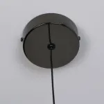 Подвесной светильник Favourite Luna 4369-1P