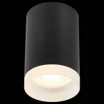 Накладной светильник ST-Luce ST100 ST100.402.01 от ImperiumLoft