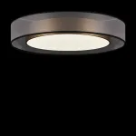 Потолочный светильник Freya FR6005CL-L48G