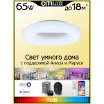 Потолочный светильник Citilux Стратус Смарт CL732A520G