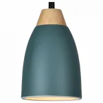 Подвесной светильник Leah TL0724H-2G Toplight