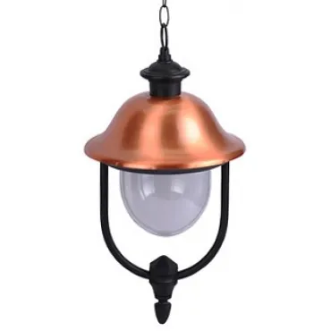 Подвесной светильник Arte Lamp Barcelona A1485SO-1BK Цвет арматуры медь Цвет плафонов прозрачный