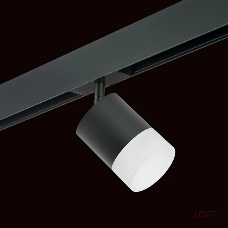Трековый светильник Lightstar Rullo PRO348781 от ImperiumLoft
