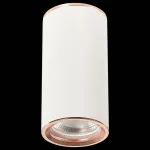 Накладной светильник ST-Luce Chomus ST111.527.01 Цвет плафонов золото от ImperiumLoft