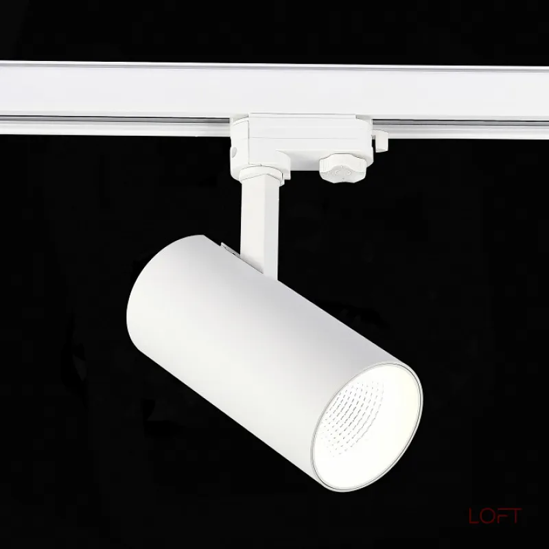 Светильник на штанге ST-Luce ST661 ST661.546.30 от ImperiumLoft