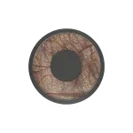 Настенный светильник Favourite Tallar 4445-1W от ImperiumLoft