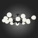 Потолочная люстра EVOLUCE Ano SL419.402.16 