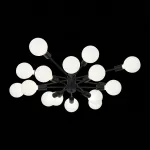 Потолочная люстра EVOLUCE Ano SL419.402.16 