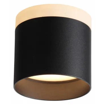 Накладной светильник ST-Luce Panaggio ST102.402.09 Цвет арматуры черный Цвет плафонов черный