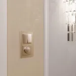 Выключатель проходной двухклавишный без рамки Werkel шампань W1122011 от ImperiumLoft