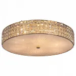 Потолочный светильник Citilux Портал CL324102 