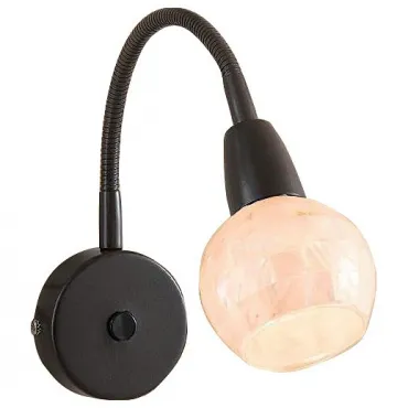 Бра Citilux Соната CL520315 Цвет арматуры коричневый Цвет плафонов кремовый