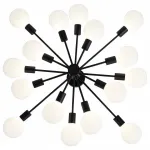 Потолочная люстра EVOLUCE Ano SL419.402.16 