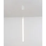 Подвесной светильник Maytoni Ray P022PL-L10W от ImperiumLoft