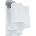 Потолочная люстра Lightstar Nubi 802030 