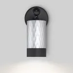 Бра Eurosvet Mizar 20088/1 черный/серебро Цвет плафонов серебро Цвет арматуры черный от ImperiumLoft