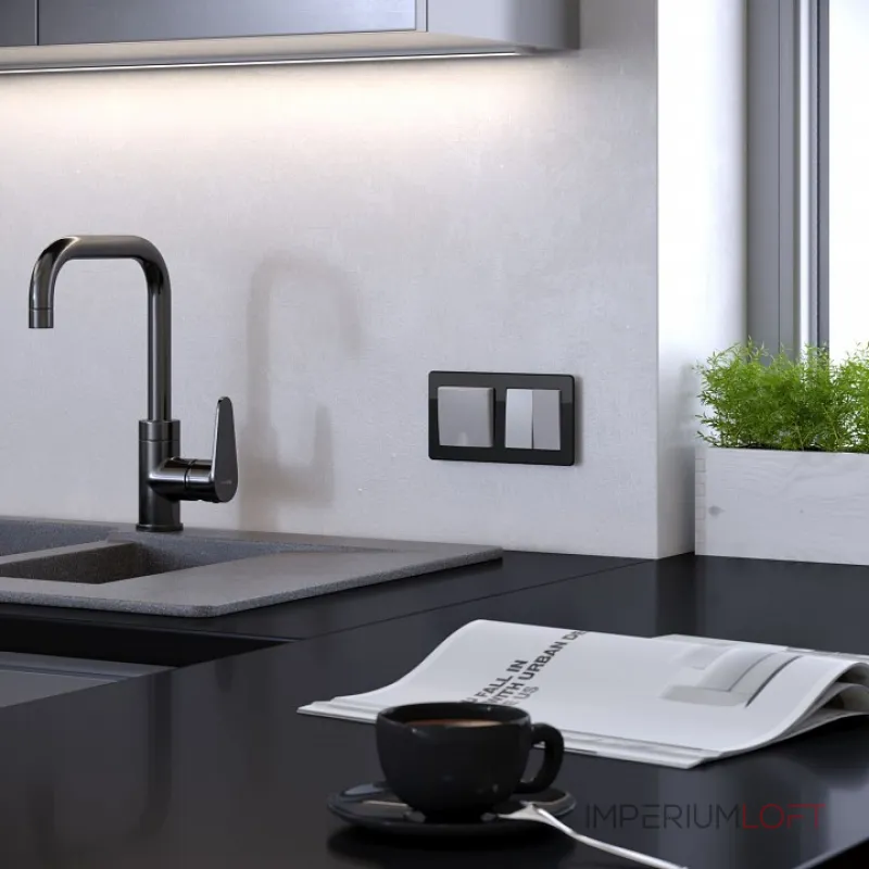 Рамка на 2 поста Werkel Acrylic черный W0022708 от ImperiumLoft