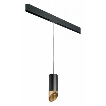 Подвесной светильник Lightstar Rullo PRORP6487190