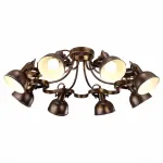 Потолочная люстра Arte Lamp Martin A5216PL-8BR 