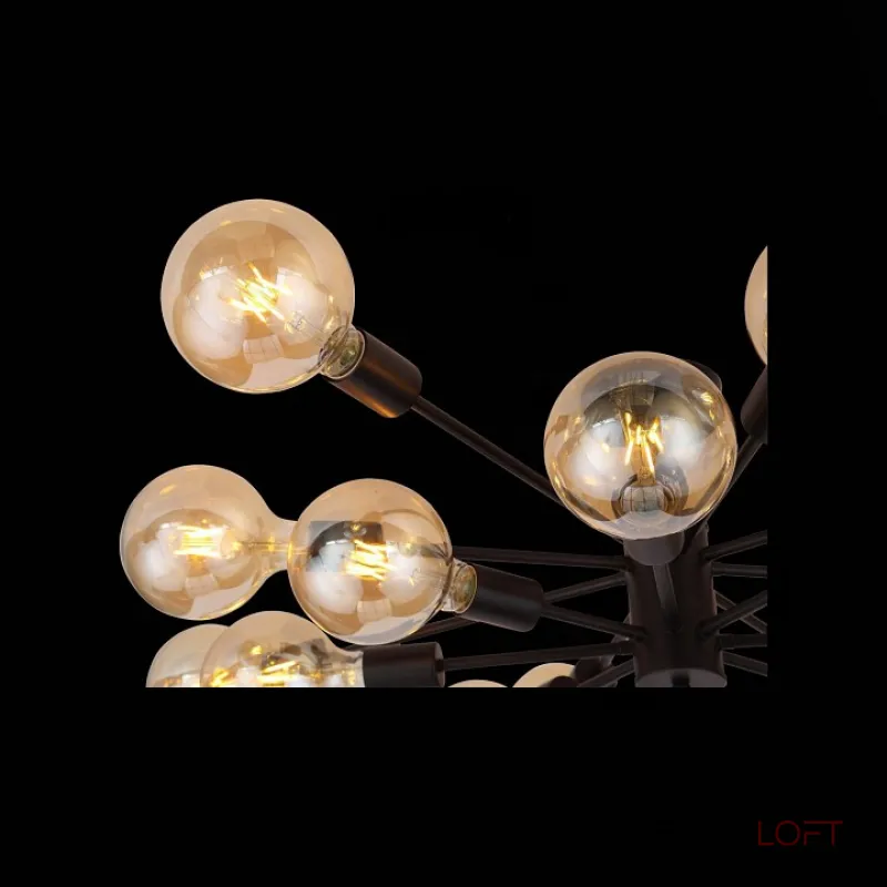 Потолочная люстра EVOLUCE Ano SL419.402.16 