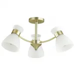 Потолочная люстра Lumion Wilma 4535/3C 