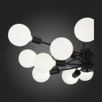 Потолочная люстра EVOLUCE Ano SL419.402.16 