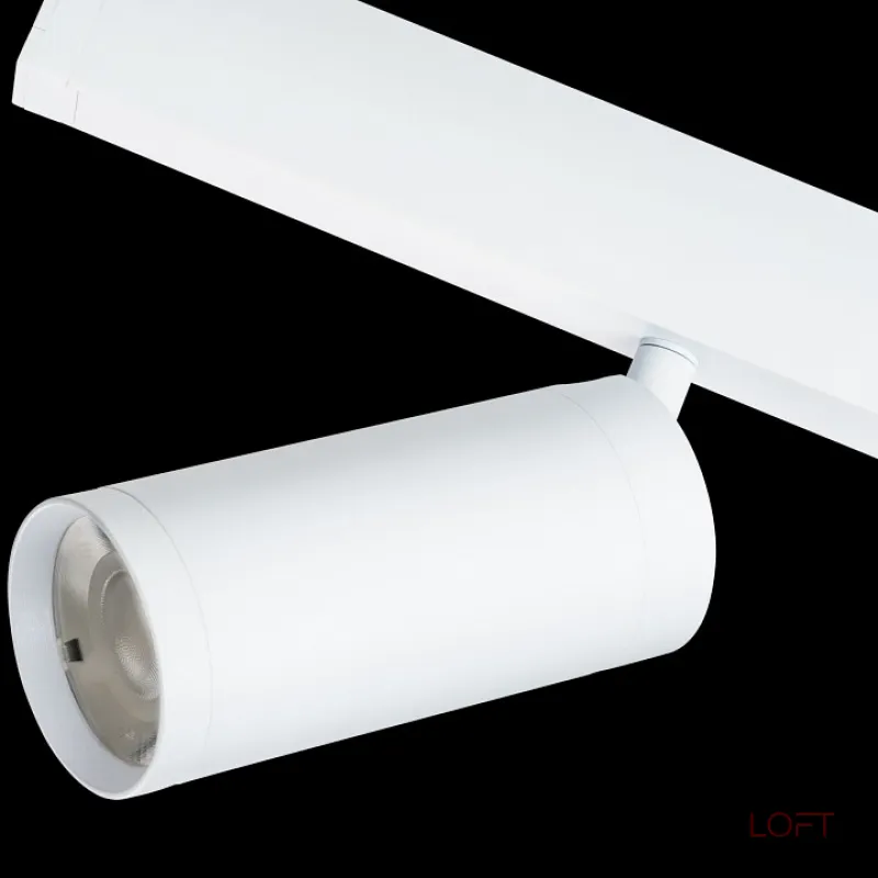 Светильник на штанге Lightstar Teta 205036 от ImperiumLoft