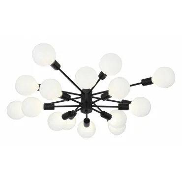 Потолочная люстра EVOLUCE Ano SL419.402.16 