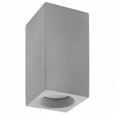 Накладной светильник Denkirs DK5002 DK5002-CE Цвет плафонов серый Цвет арматуры серый