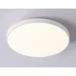 Накладной светильник Ambrella FZ FZ1220 от ImperiumLoft