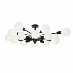 Потолочная люстра EVOLUCE Ano SL419.402.16 