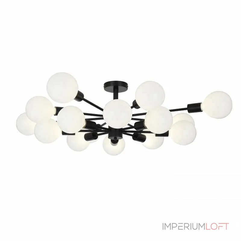 Потолочная люстра EVOLUCE Ano SL419.402.16 