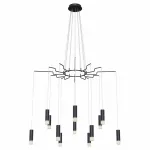 Подвесная люстра Maytoni MOD035PL-12B