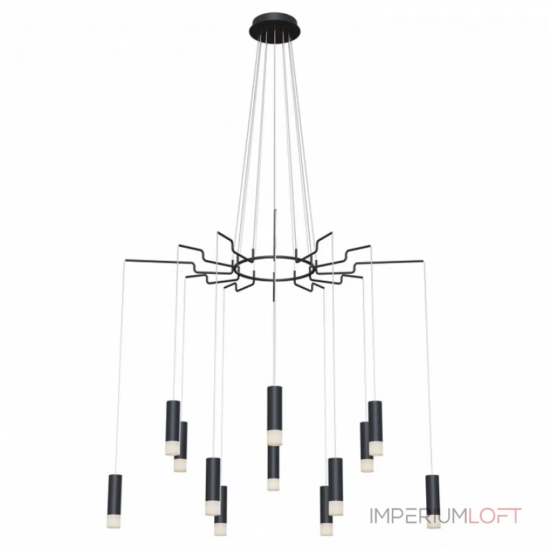 Подвесная люстра Maytoni MOD035PL-12B