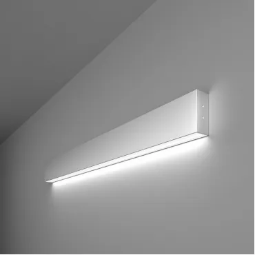 Накладной светильник Elektrostandard 101-100-30-78 a041491 Цвет арматуры серебро