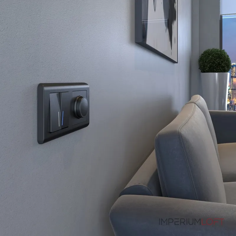 Диммер без рамки Werkel графит рифленый W1142004 от ImperiumLoft