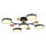 Потолочная люстра EVOLUCE Faema SLE6006-702-05