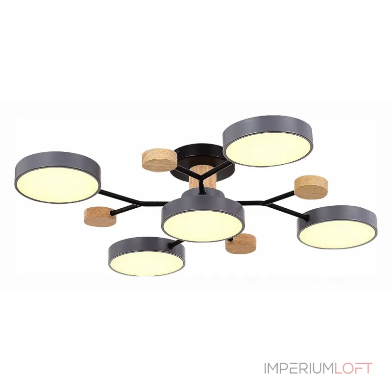 Потолочная люстра EVOLUCE Faema SLE6006-702-05