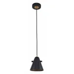 Подвесной светильник F-promo Rigor 2844-1P 