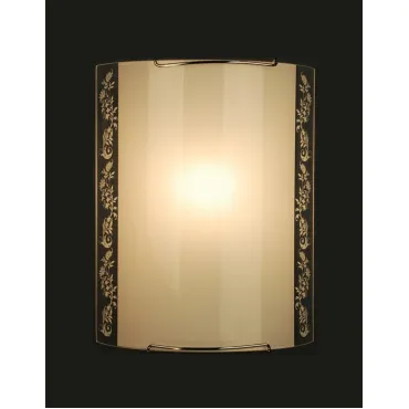 Накладной светильник Citilux 921 CL921024