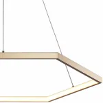Подвесная люстра Favourite Hexagon 2103-6P
