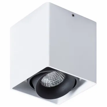 Накладной светильник Arte Lamp Pictor A5654PL-1WH Накладной светильник Arte Lamp Pictor A5654PL-1WH