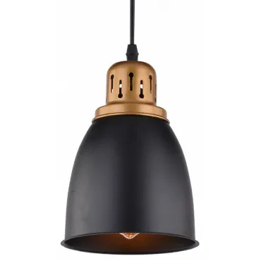 Подвесной светильник Arte Lamp Eurica A4248SP-1BK 