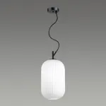 Подвесной светильник Odeon Light Roofi 4751/1 