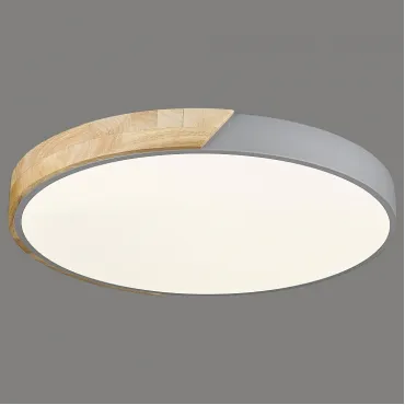 Потолочный светильник Velante Velante 445-247-01