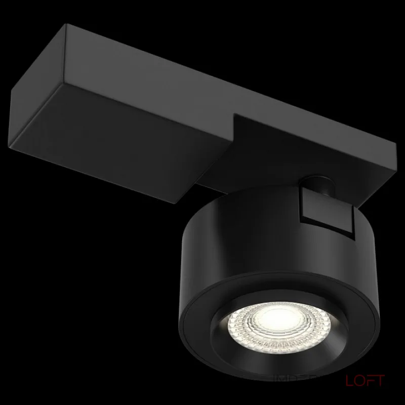 Светильник на штанге Maytoni Treo C062CL-L12B3K Цвет арматуры черный Цвет плафонов черный от ImperiumLoft