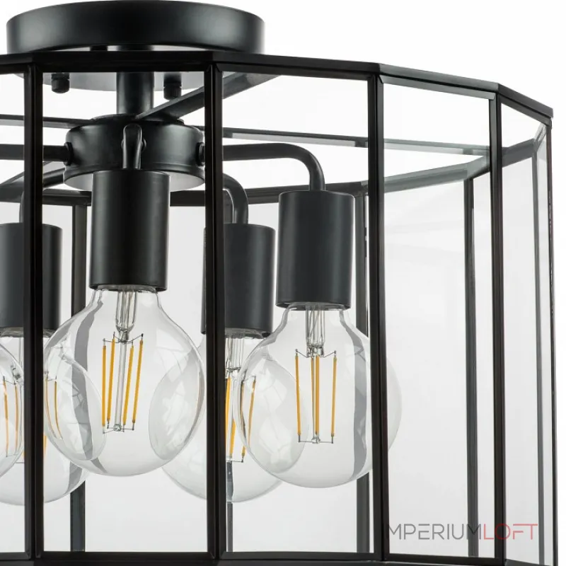 Потолочный светильник Lightstar Genni 798257 