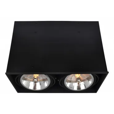 Накладной светильник Arte Lamp Cardani A5936PL-2BK Накладной светильник Arte Lamp Cardani A5936PL-2BK