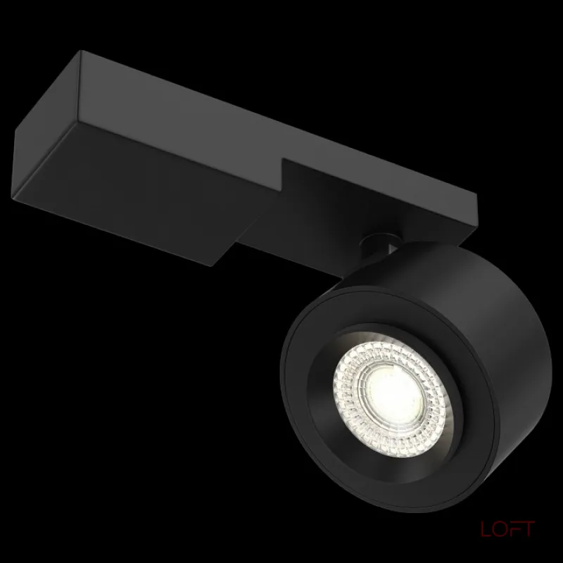 Светильник на штанге Maytoni Treo C062CL-L12B3K Цвет арматуры черный Цвет плафонов черный от ImperiumLoft